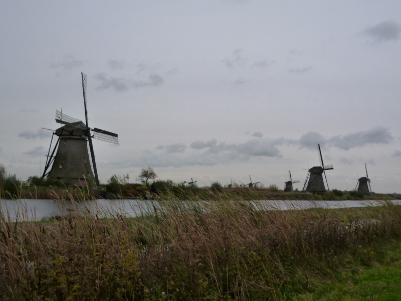 f:id:bitterer_karamel:20121106154254j:image:w360