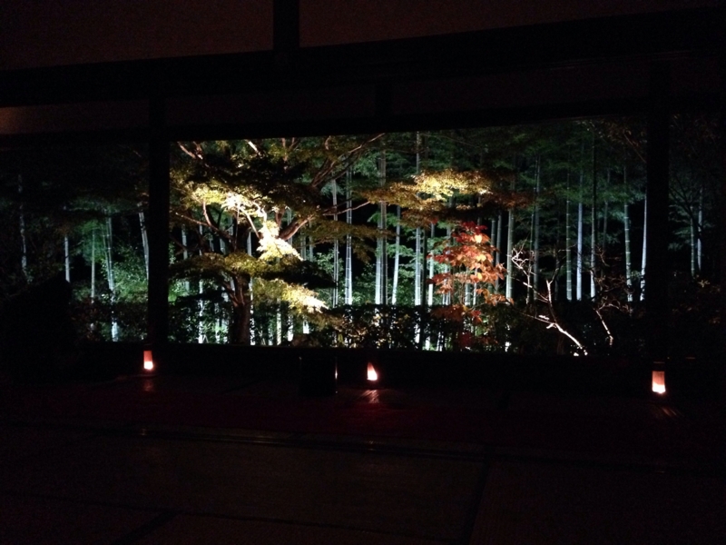 f:id:bitterer_karamel:20131121215057j:image f:id:bitterer_karamel:20131121215057j:image