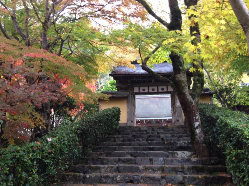 f:id:bitterer_karamel:20131121215115j:image f:id:bitterer_karamel:20131121215115j:image