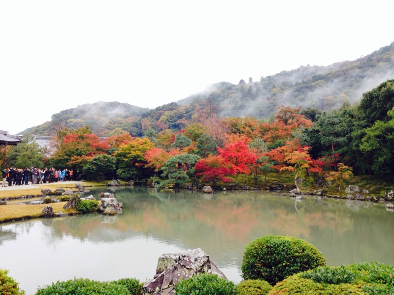 f:id:bitterer_karamel:20131121215129j:image f:id:bitterer_karamel:20131121215129j:image