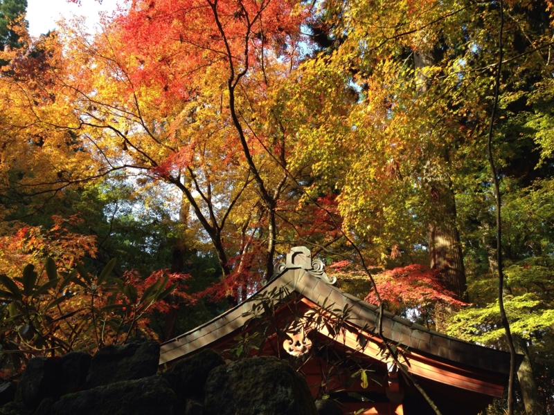 f:id:bitterer_karamel:20131121220136j:image