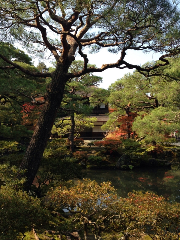 f:id:bitterer_karamel:20131121220156j:image