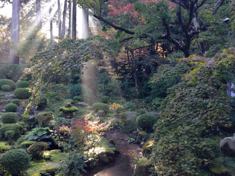 f:id:bitterer_karamel:20131121220207j:image