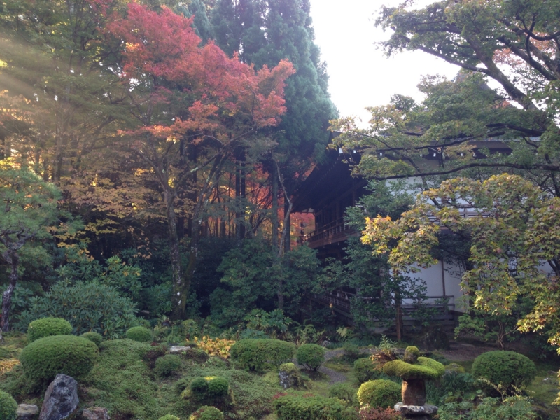 f:id:bitterer_karamel:20131126211143j:image