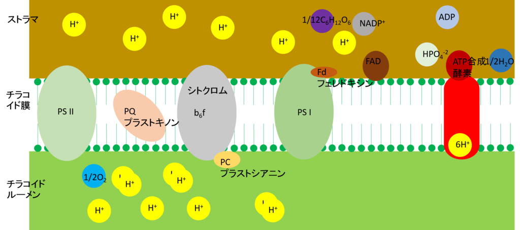 【JUN NAGURA】なるほど量子力学1 他5点 41A3Jx-nkNL.jpg_BO30,255,255,