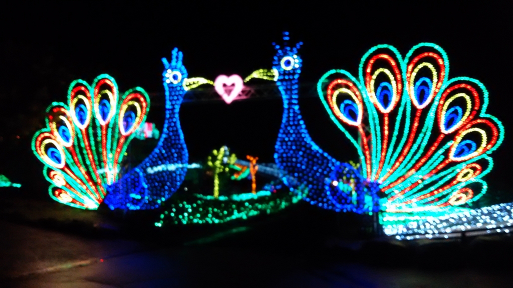 f:id:bitterharvest:20160621105935j:plain