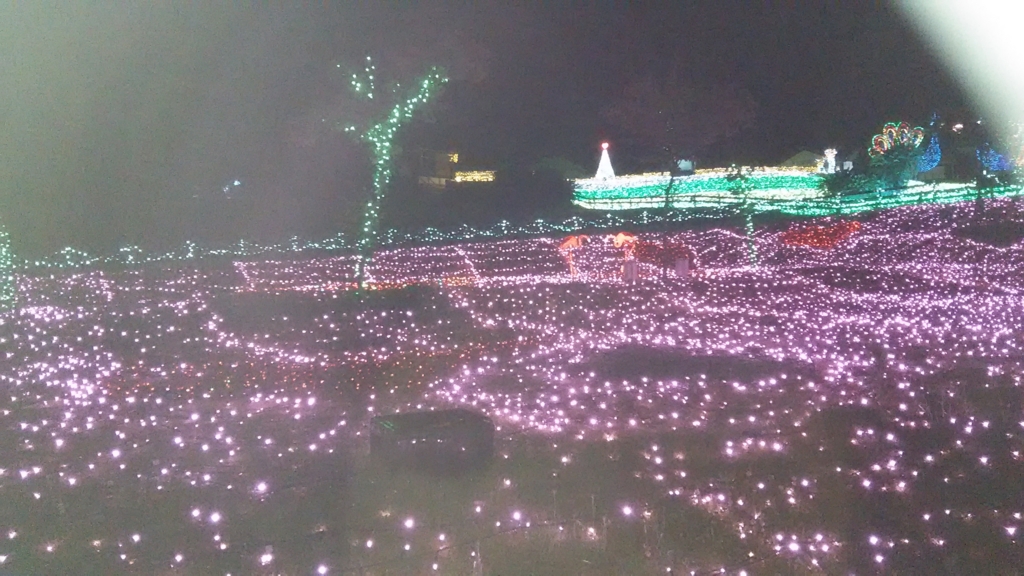 f:id:bitterharvest:20160621110038j:plain