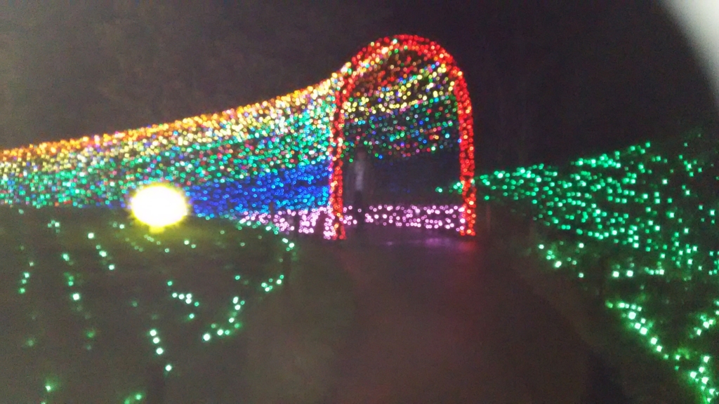 f:id:bitterharvest:20160621110142j:plain