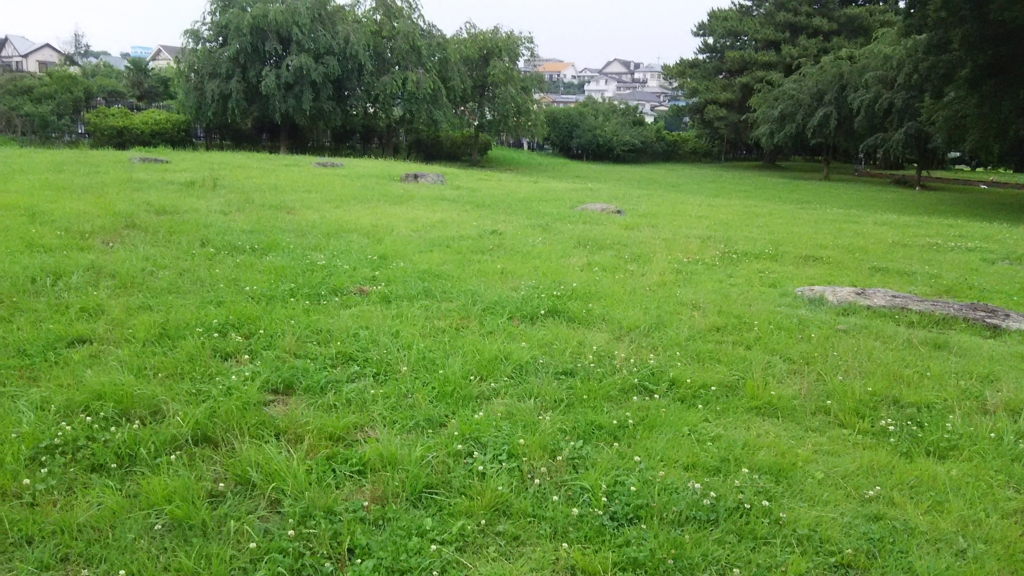 f:id:bitterharvest:20160630112645j:plain