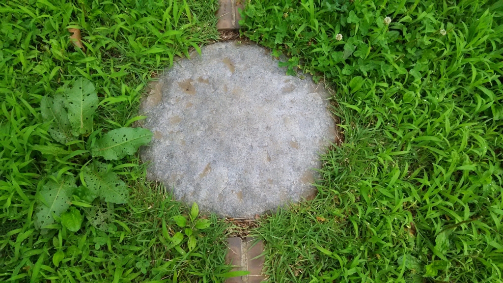 f:id:bitterharvest:20160630113300j:plain