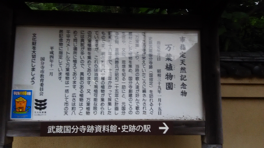 f:id:bitterharvest:20160701080205j:plain