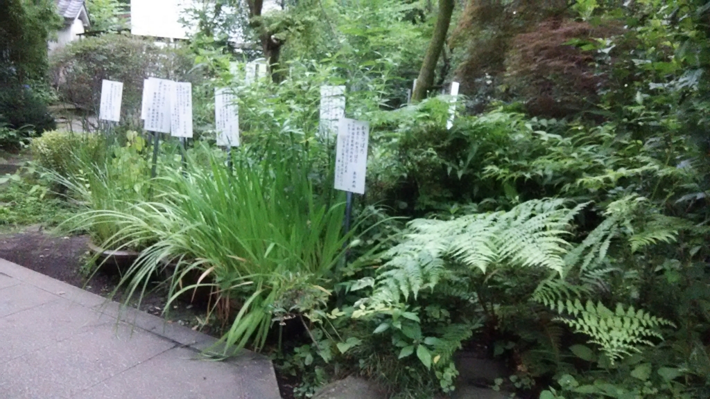 f:id:bitterharvest:20160701080240j:plain