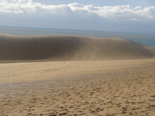 f:id:bitterharvest:20160715135827j:plain