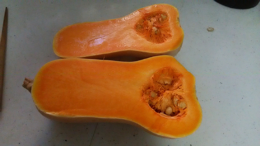 f:id:bitterharvest:20161025072001j:plain