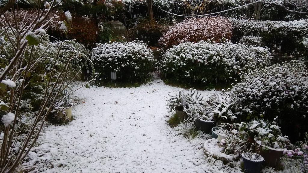 f:id:bitterharvest:20161204183058j:plain