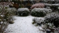 20161204183058