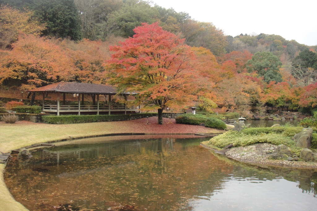 f:id:bitterharvest:20161204193154j:plain