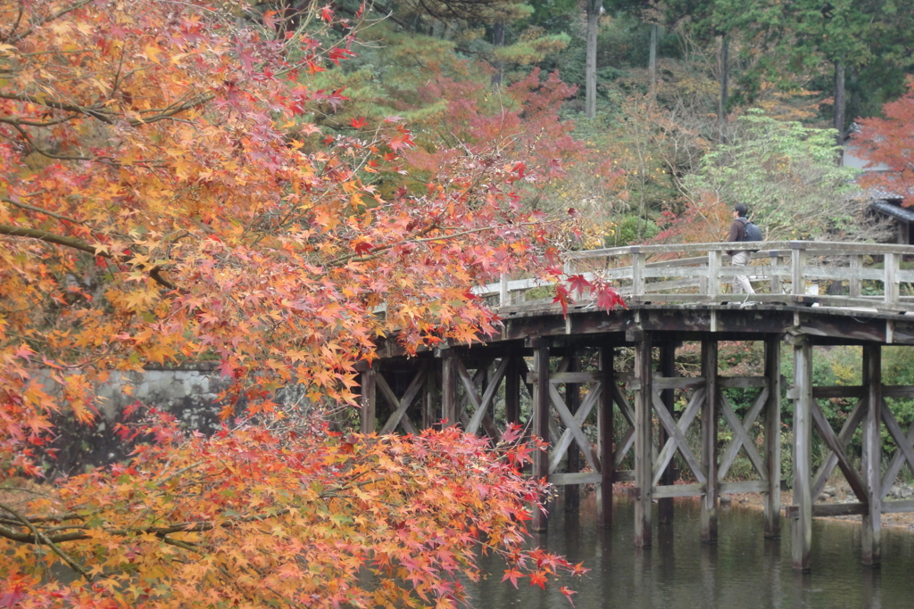 f:id:bitterharvest:20161204193228j:plain