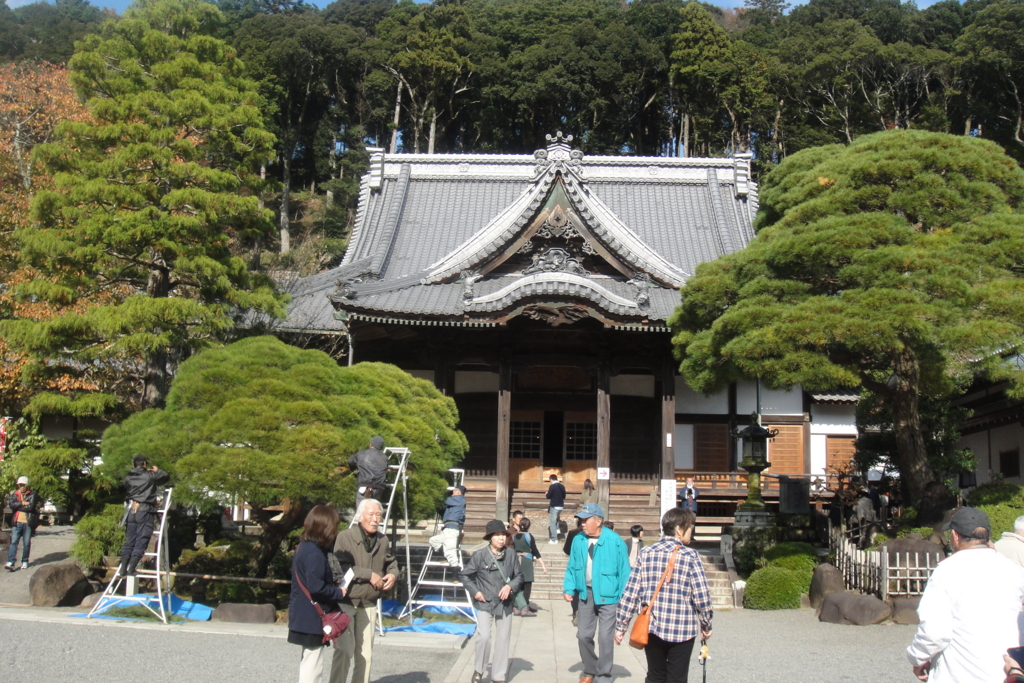 f:id:bitterharvest:20161204202040j:plain