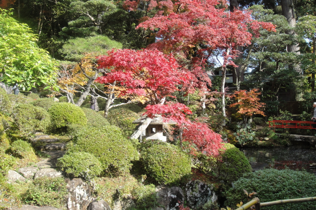 f:id:bitterharvest:20161204202151j:plain