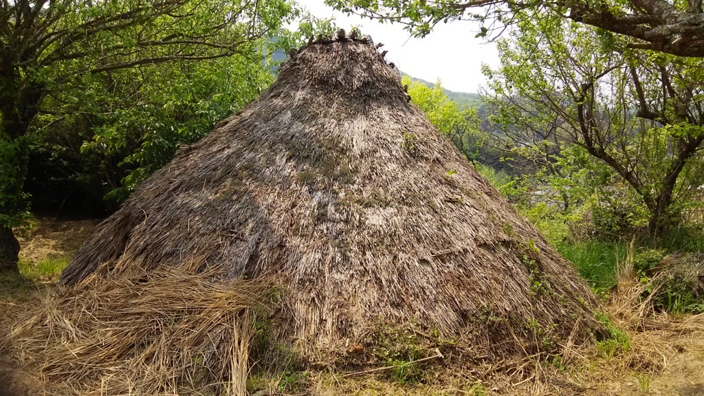 f:id:bitterharvest:20170503224544j:plain