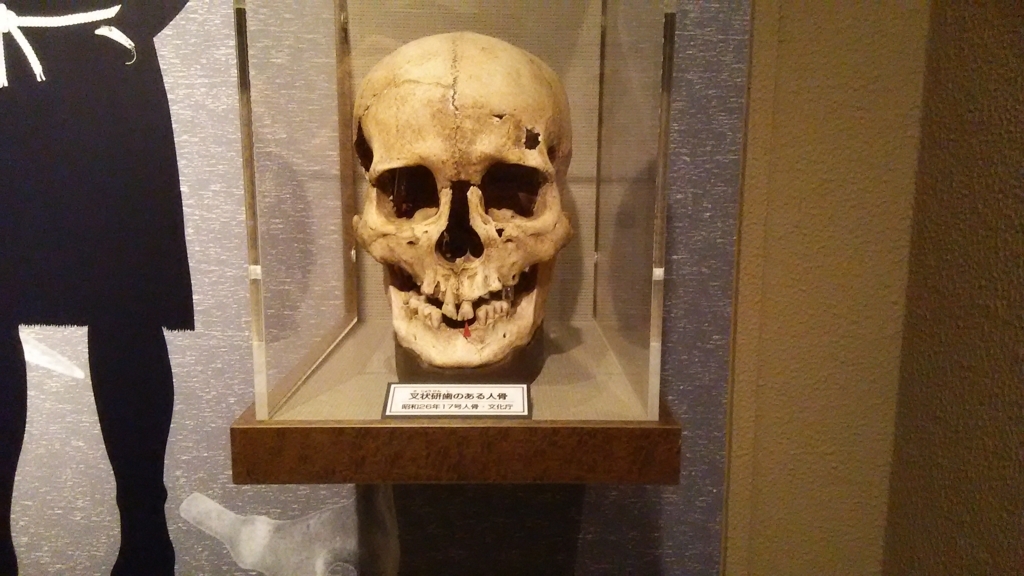 f:id:bitterharvest:20170924110932j:plain f:id:bitterharvest:20170924110932j:plain