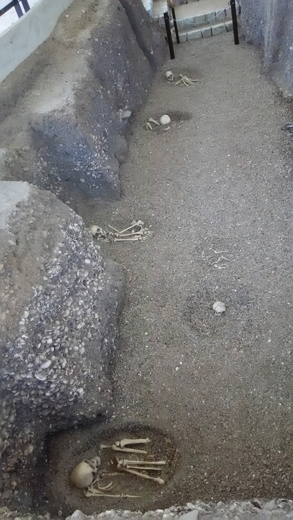 f:id:bitterharvest:20170924113021j:plain f:id:bitterharvest:20170924113021j:plain