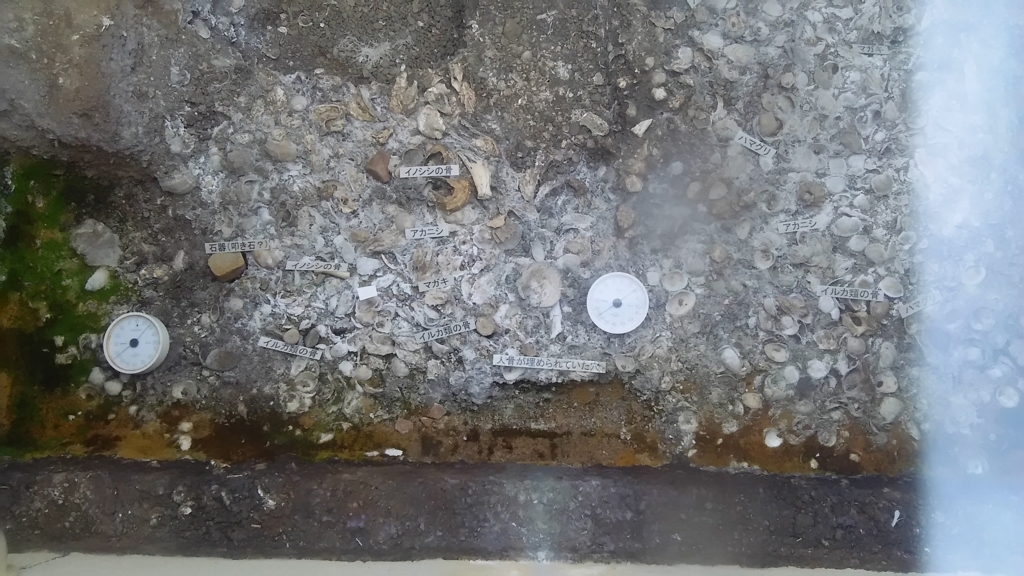 f:id:bitterharvest:20170924113225j:plain f:id:bitterharvest:20170924113225j:plain