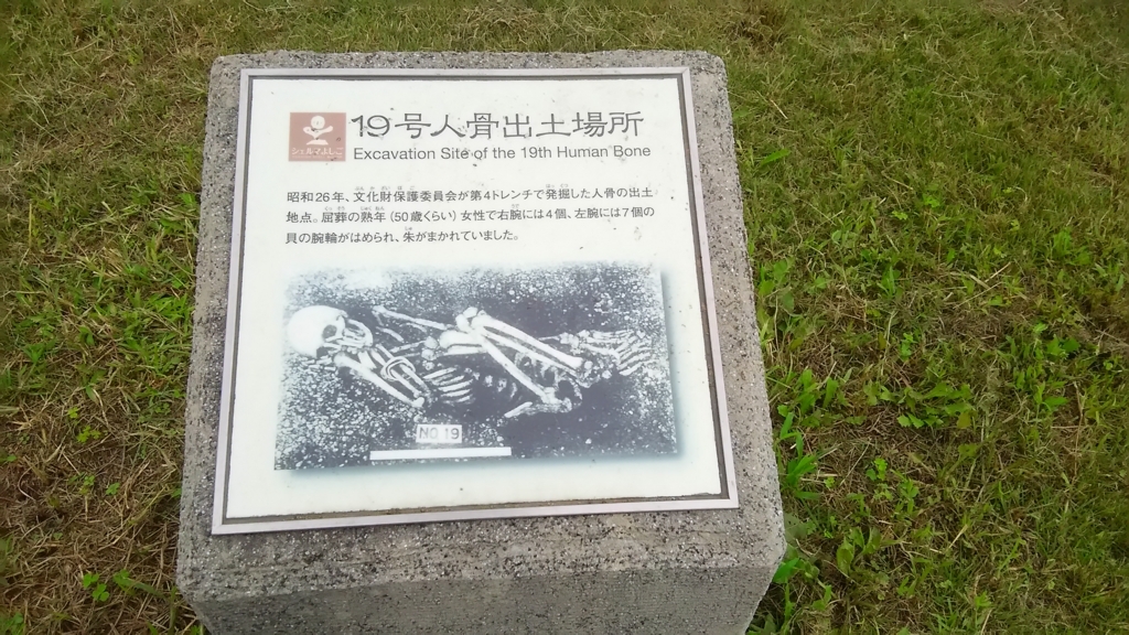 f:id:bitterharvest:20170924113454j:plain f:id:bitterharvest:20170924113454j:plain