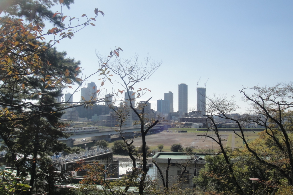 f:id:bitterharvest:20171103160555j:plain