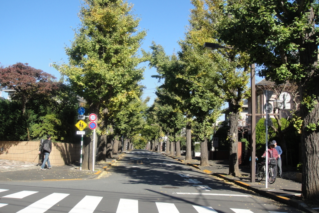 f:id:bitterharvest:20171103162753j:plain