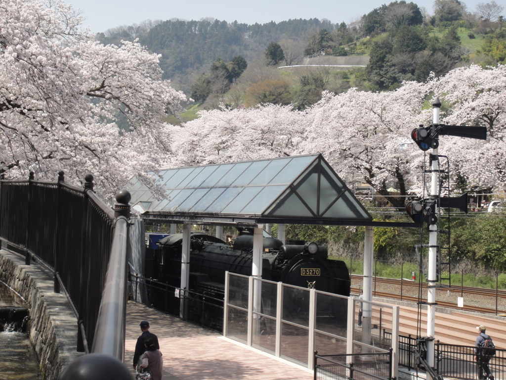 f:id:bitterharvest:20180329183118j:plain