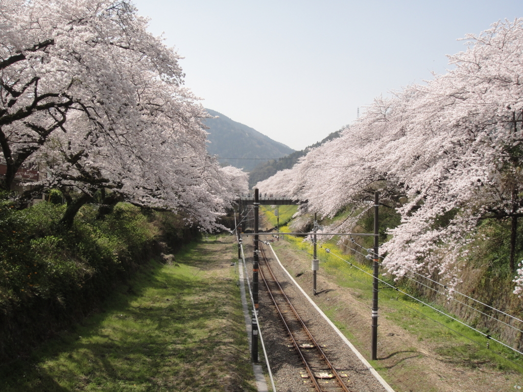 f:id:bitterharvest:20180329183159j:plain