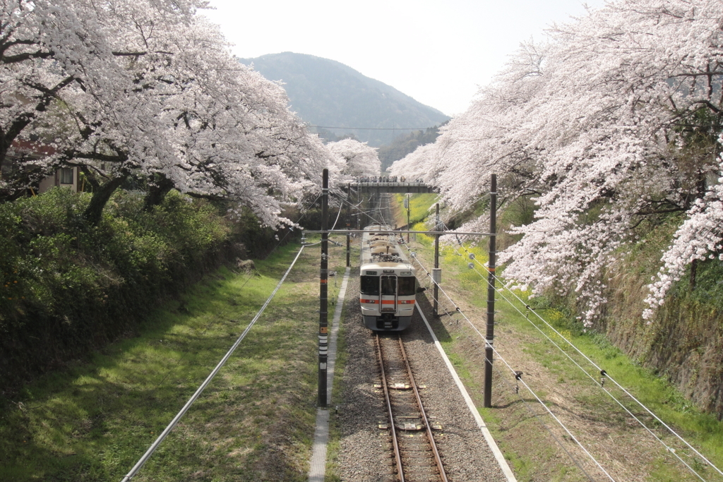 f:id:bitterharvest:20180329183411j:plain