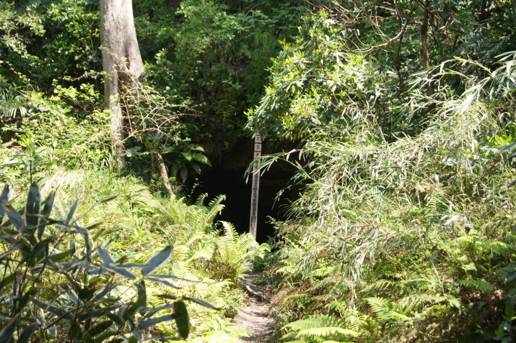 f:id:bitterharvest:20180410143333j:plain