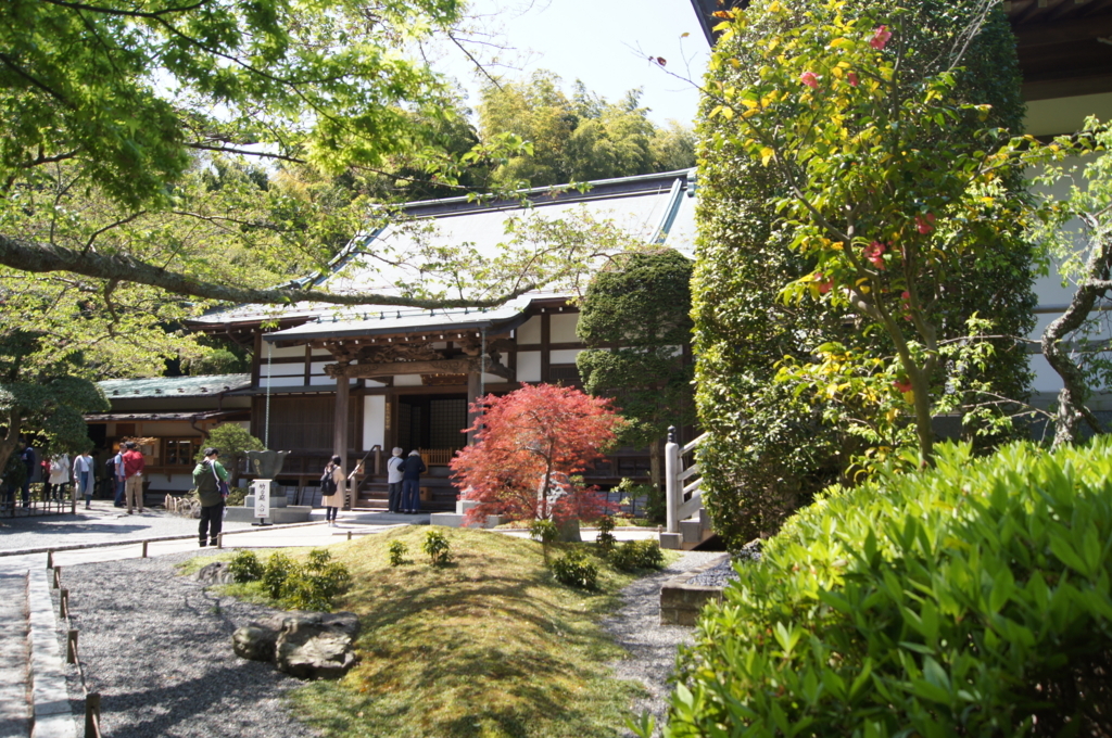 f:id:bitterharvest:20180410143735j:plain