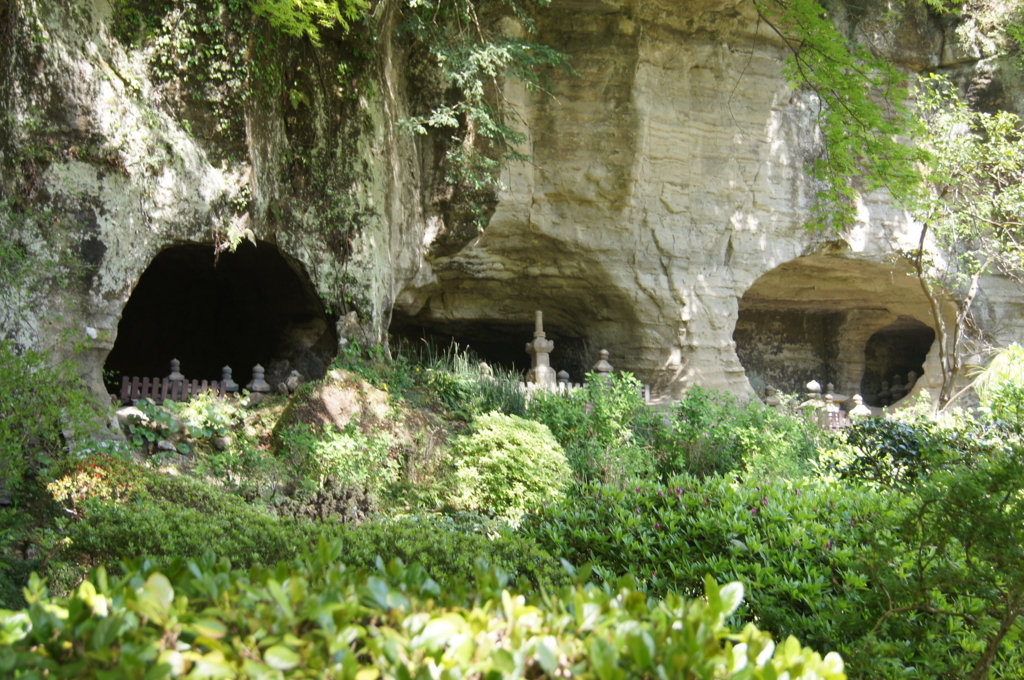 f:id:bitterharvest:20180410143853j:plain