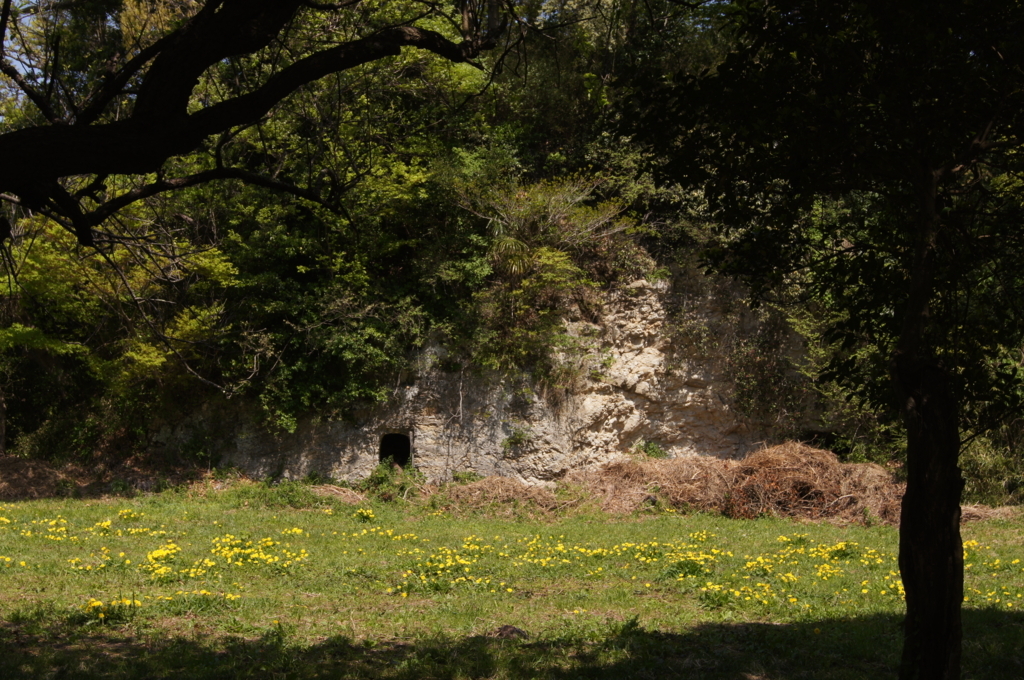 f:id:bitterharvest:20180410145628j:plain