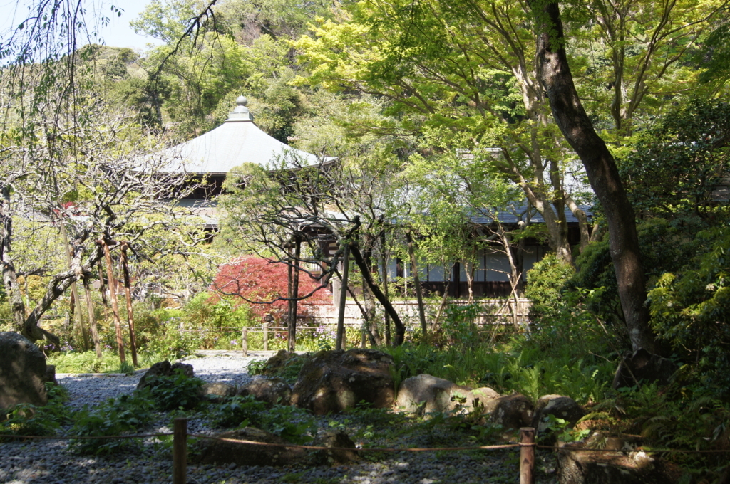 f:id:bitterharvest:20180410145754j:plain