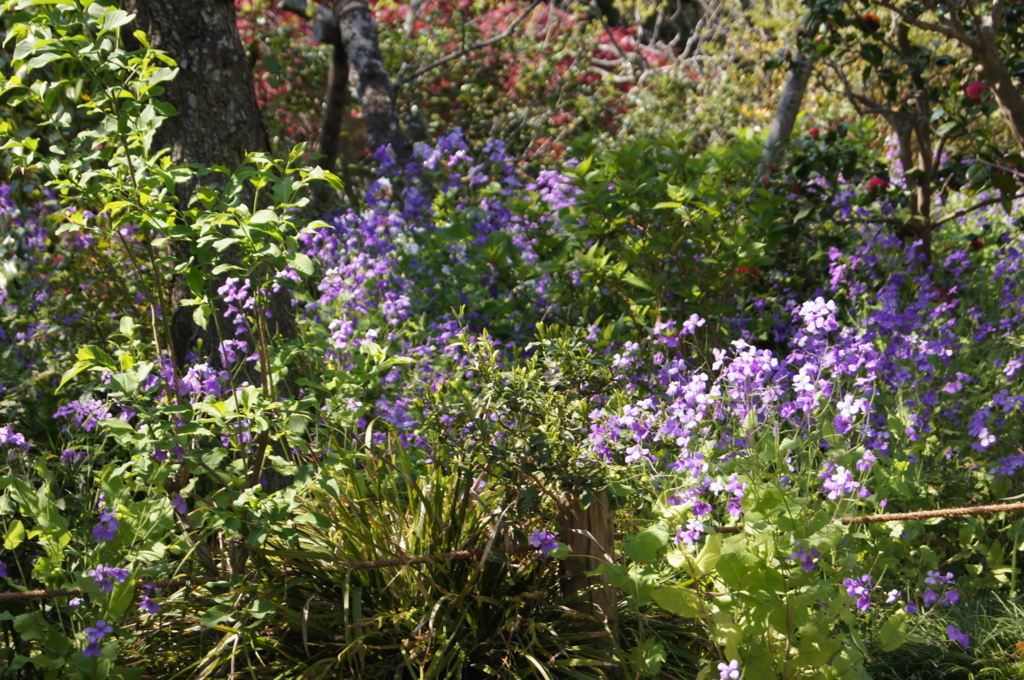 f:id:bitterharvest:20180410145848j:plain