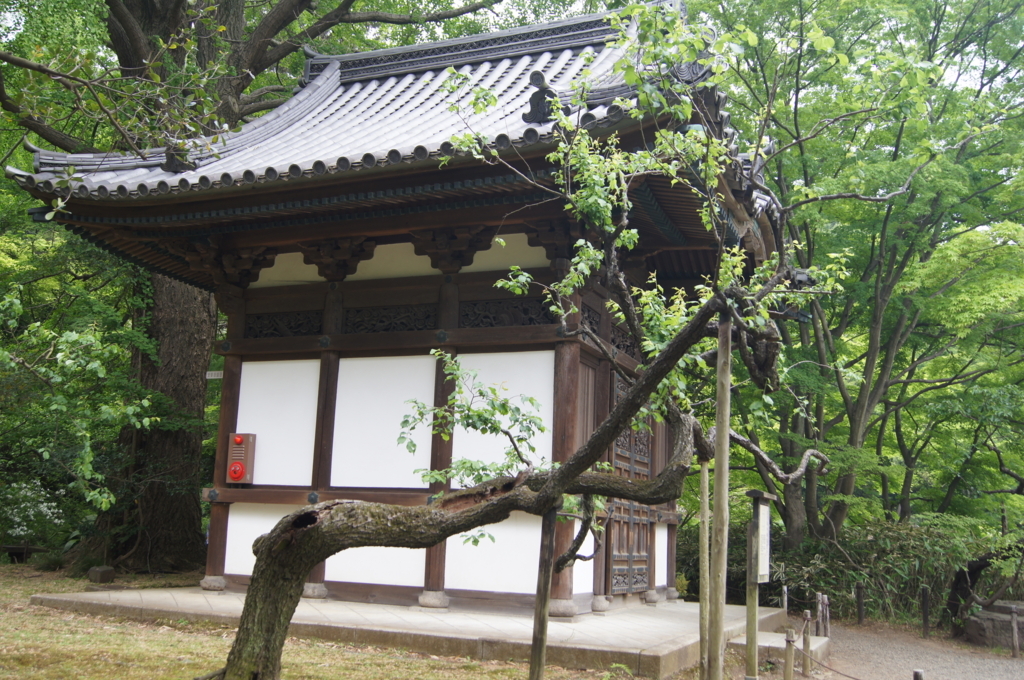 f:id:bitterharvest:20180424121710j:plain