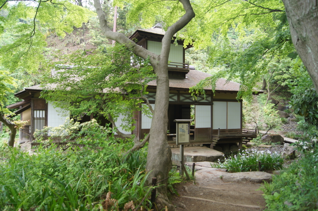 f:id:bitterharvest:20180424121759j:plain