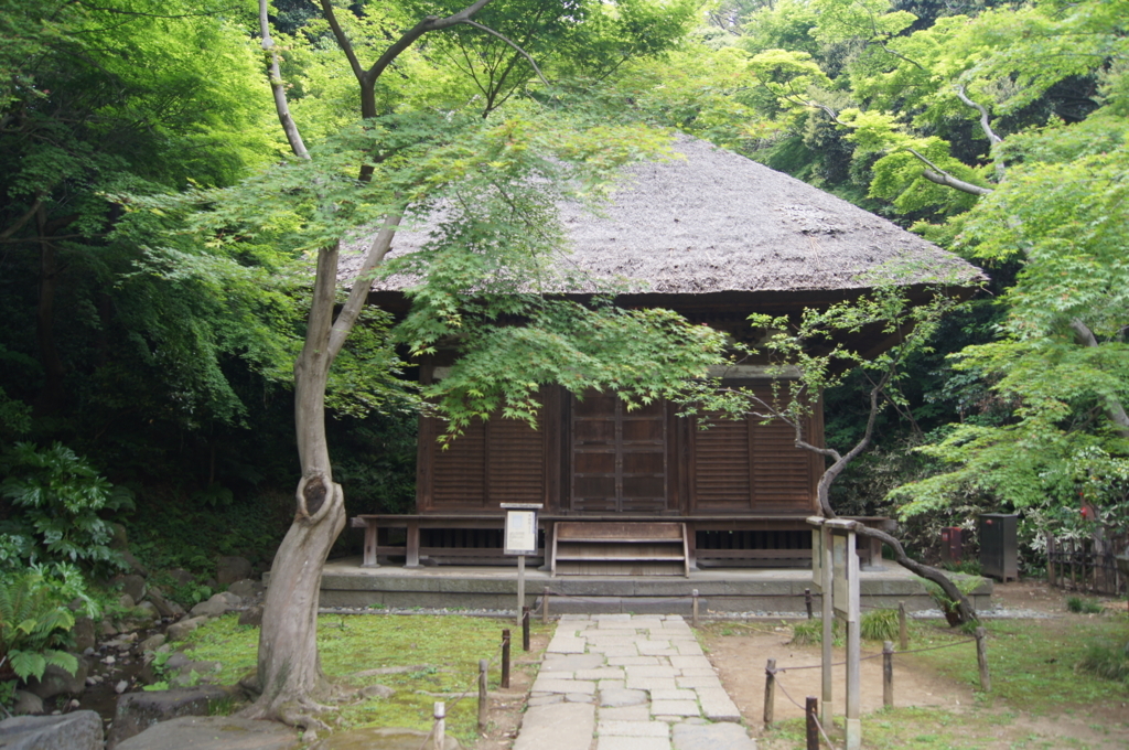 f:id:bitterharvest:20180424121847j:plain