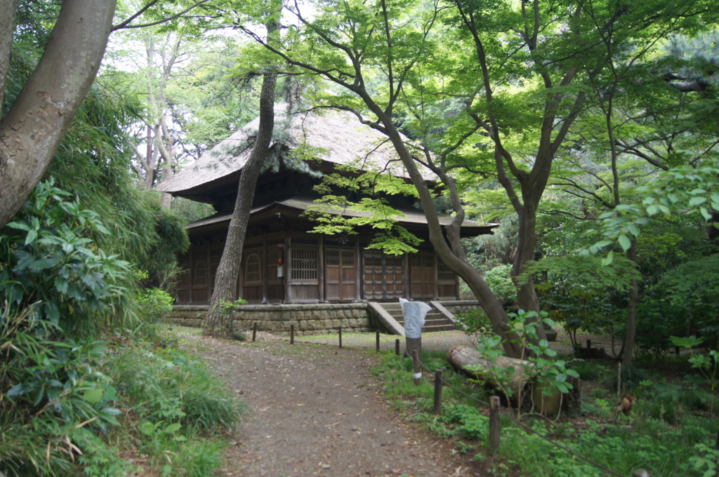 f:id:bitterharvest:20180424122043j:plain