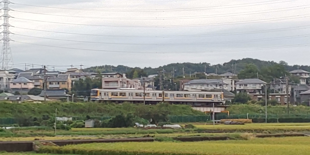 f:id:bitterharvest:20180923181741j:plain