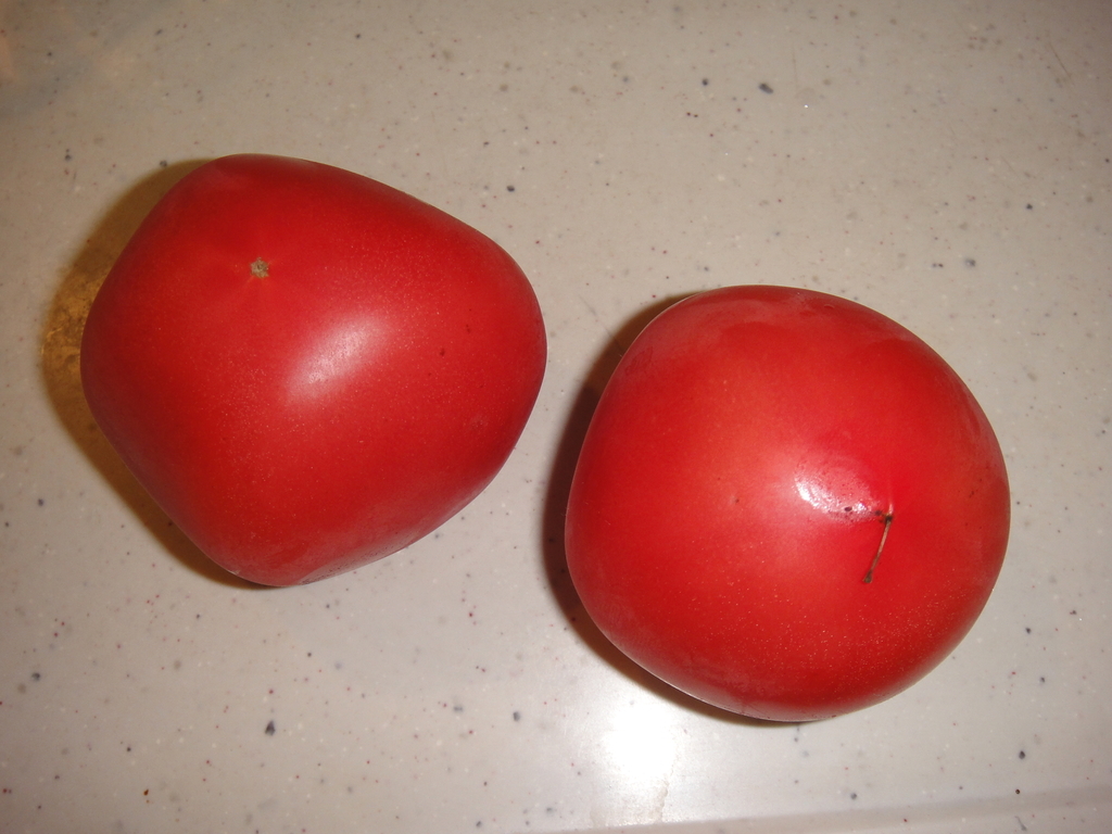f:id:bitterharvest:20180926083829j:plain
