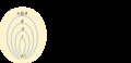 20190301105947