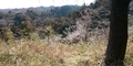 20190307110935