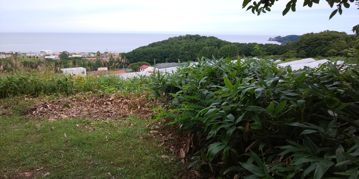 f:id:bitterharvest:20190826180039j:plain