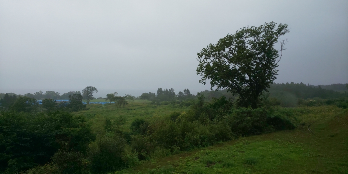 f:id:bitterharvest:20190902120036j:plain